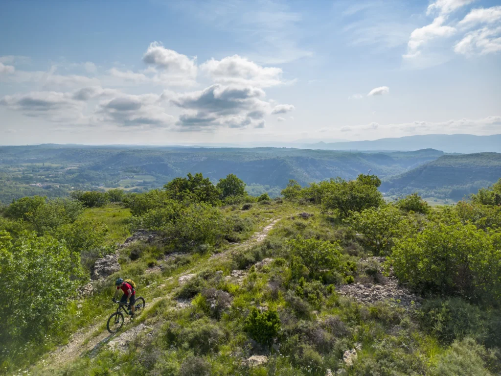 VTT