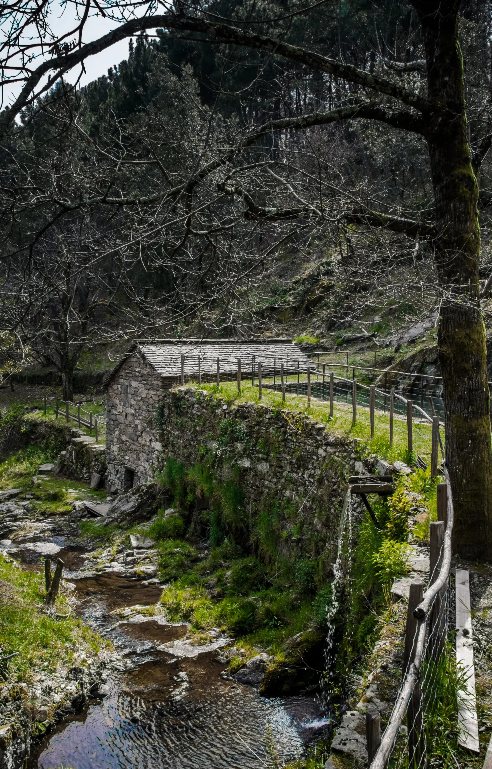 Moulin de Marceau, Planzolles - le 18 avril 2019
