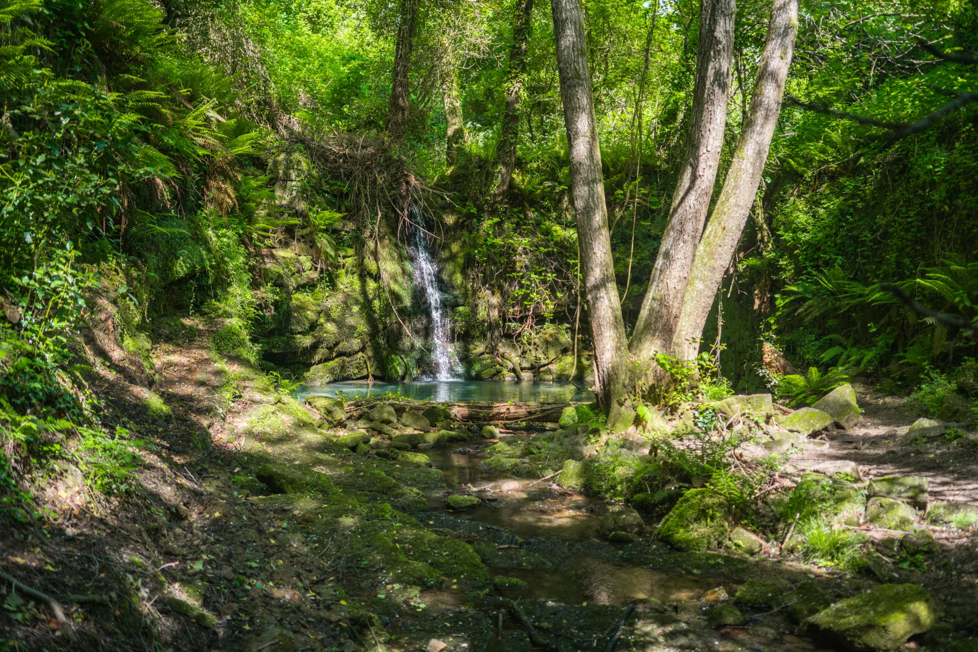 Saint-Paul-le-Jeune cascade et ruisseau
