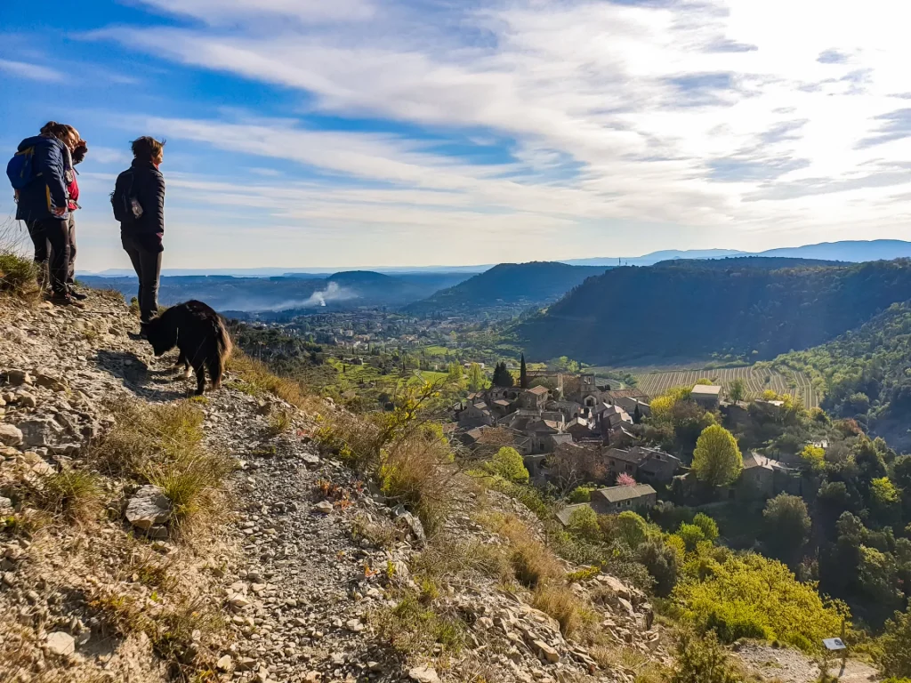 Balade avec un chien