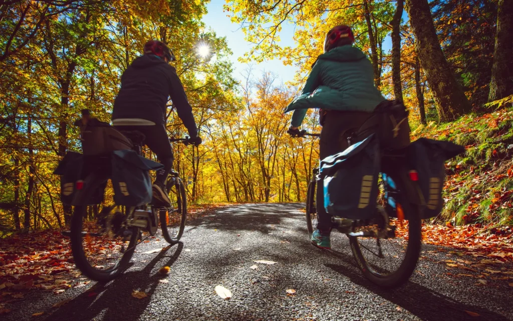 Vélo couleur automne