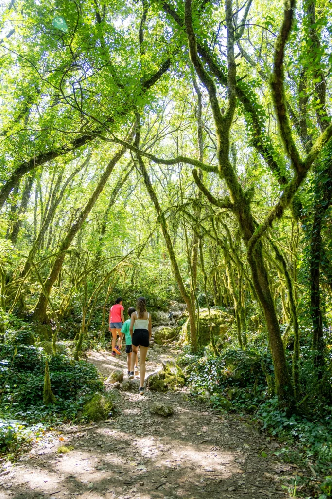 Bois de Païolive