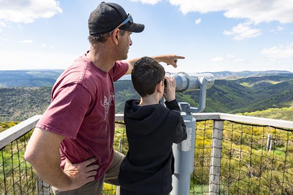 Montselgues Vultures Platform