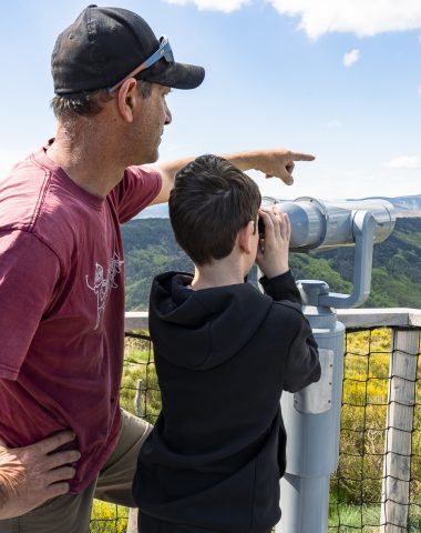 Plateforme Montselgues vautours