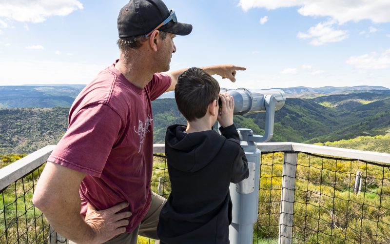 Plateforme Montselgues vautours