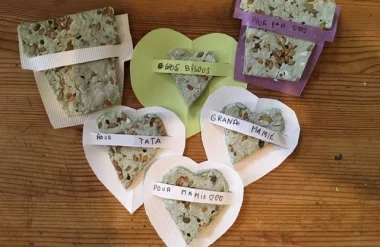 Tuto carte à planter