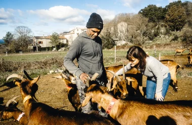 De Ferme en Ferme en Cévennes d’Ardèche : à la rencontre des savoir-faire locaux