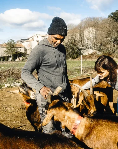 De Ferme en Ferme en Cévennes d’Ardèche : à la rencontre des savoir-faire locaux