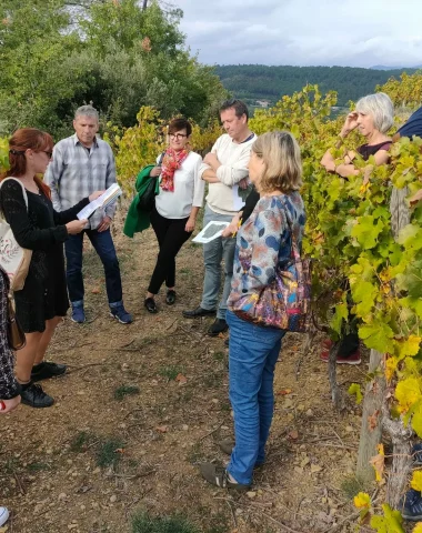 Dans le vignoble ardéchois