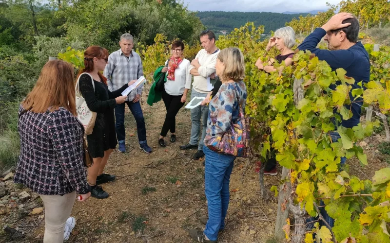 Dans le vignoble ardéchois