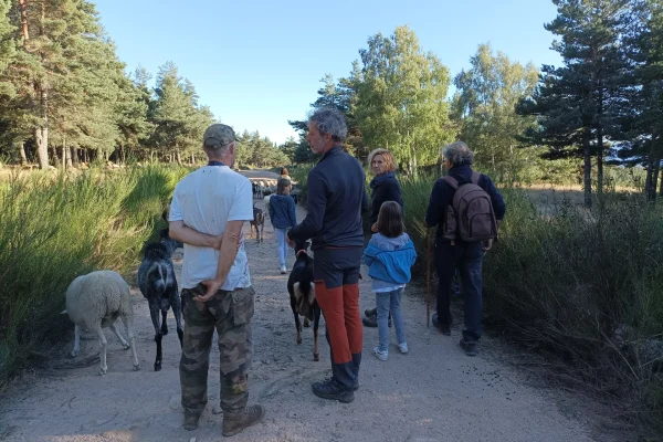 5 idées d’activités à faire en juillet en Cévennes d’Ardèche