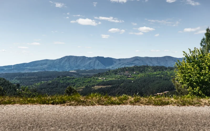 Paysage de Planzolles