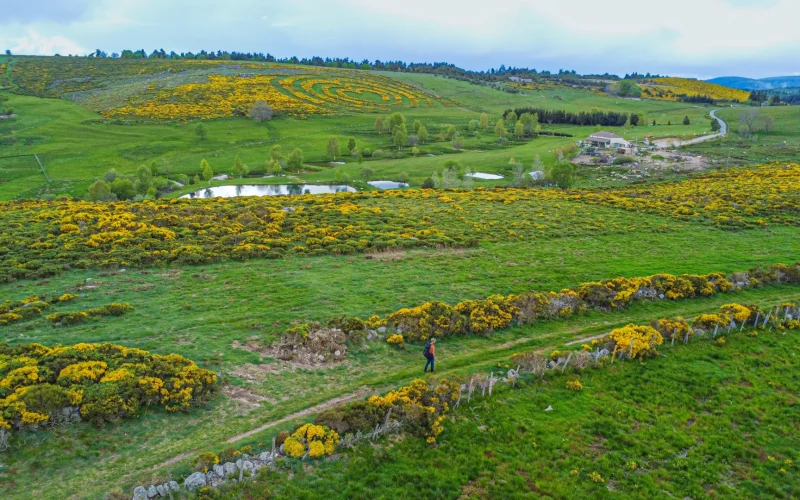Col des Cayres - Montselgues