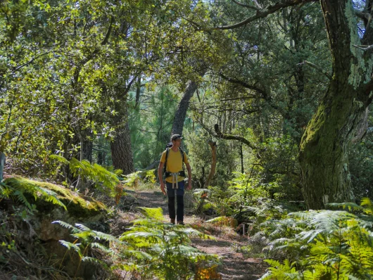Chemin à Chambonas