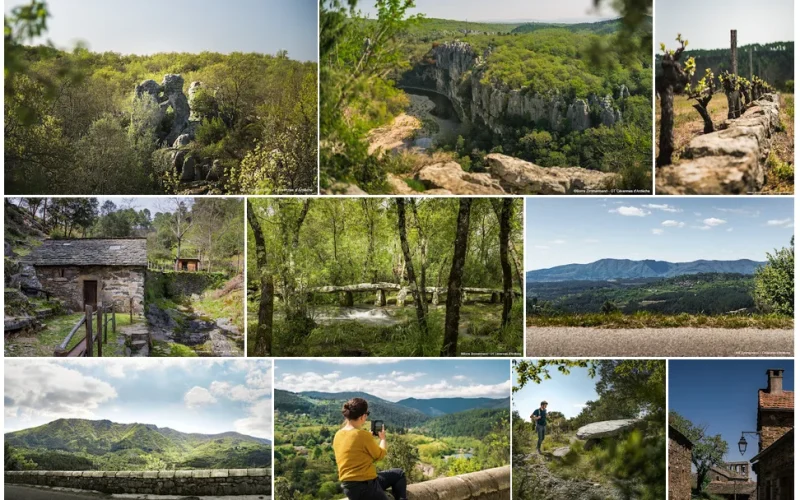 Photothèque et vidéothèque partagées