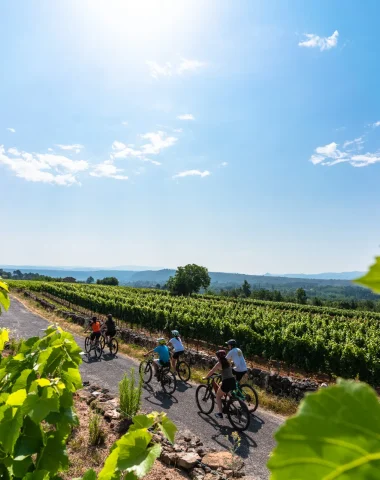 Saveurs cévenoles à vélo