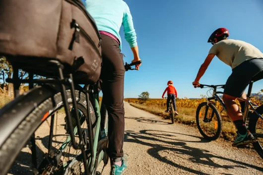 La vigne à vélo