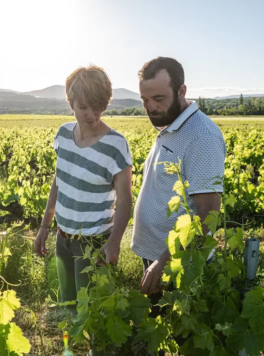 La vigne à vélo
