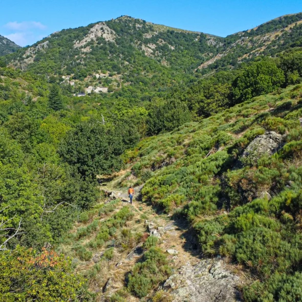 GR® de Pays Le Cévenol