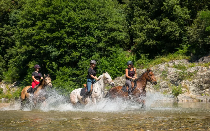 A cheval