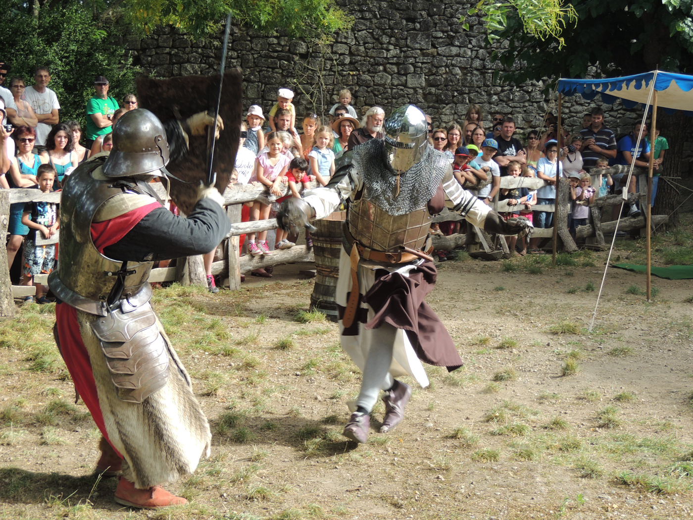 Medieval animations, theatrical visits and medieval show at the Château de Montréal