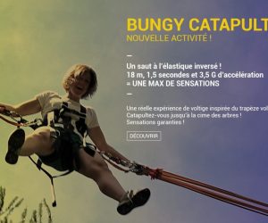 Bungee catapulte